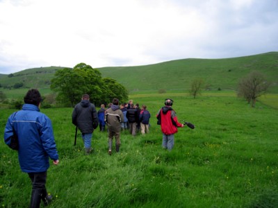Sheen curlew sounds project - in search of data....