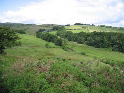 Farewell Walk: Local countryside
