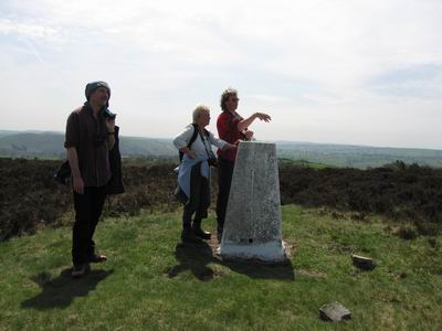 Andy's Curlew Impression